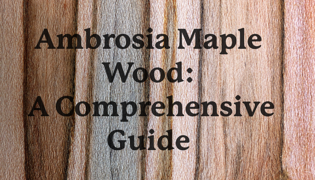 Ambrosia maple wood guide showing wormy maple grain, beetle streaks, furniture uses, table tops, and table leg considerations