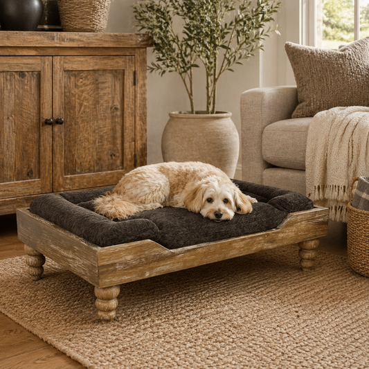Large washed oak designer dog bed with distressed finish, turned bun feet, and chocolate bolster cushion